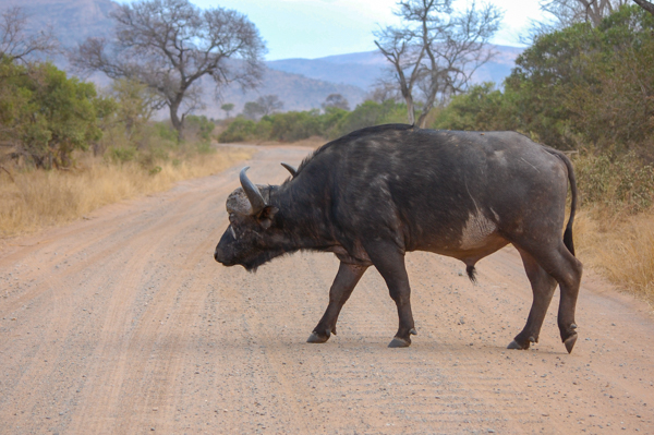 20120729   Sudafrica 0397